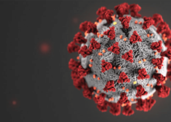 Responsabilitat, coratge, solidaritat