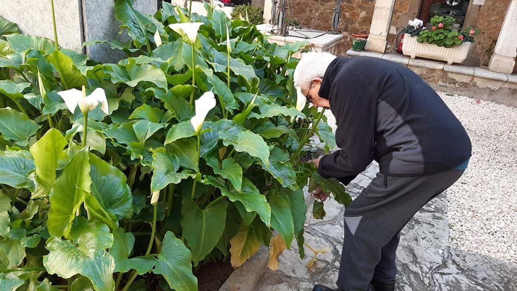 La COVID-19 a les residències