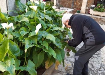 La COVID-19 a les residències