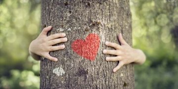 Els nostres amics els arbres