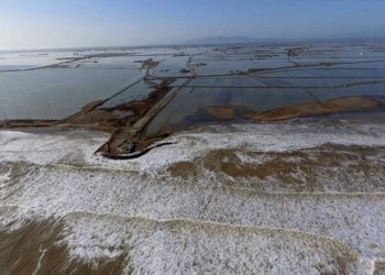 En l’aniversari de Gloria