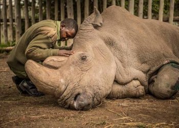 La fe en la tecnologia I