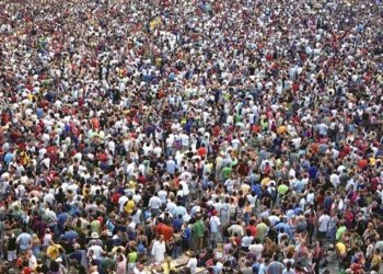 Som una plaga  els humans?