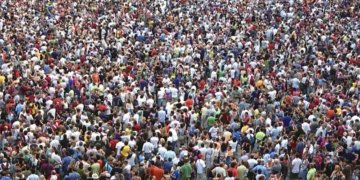 Som una plaga  els humans?