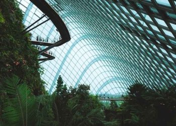 Imaginem junts el nostre futur (6)