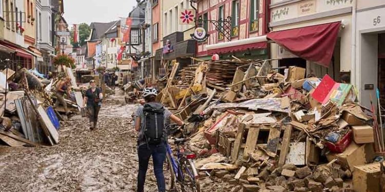 Compromesos amb la natura