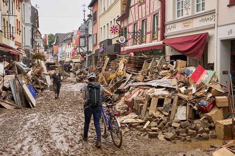 Compromesos amb la natura