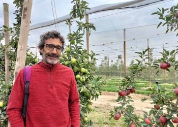 Albert Batlle Viader