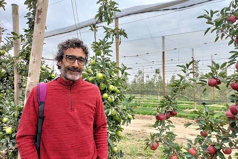 Albert Batlle Viader