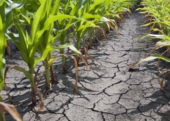 Postveritat climàtica I