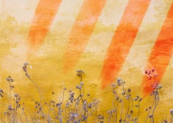 Una proposta de cànon poètic català del segle XXI