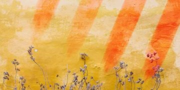 Una proposta de cànon poètic català del segle XXI