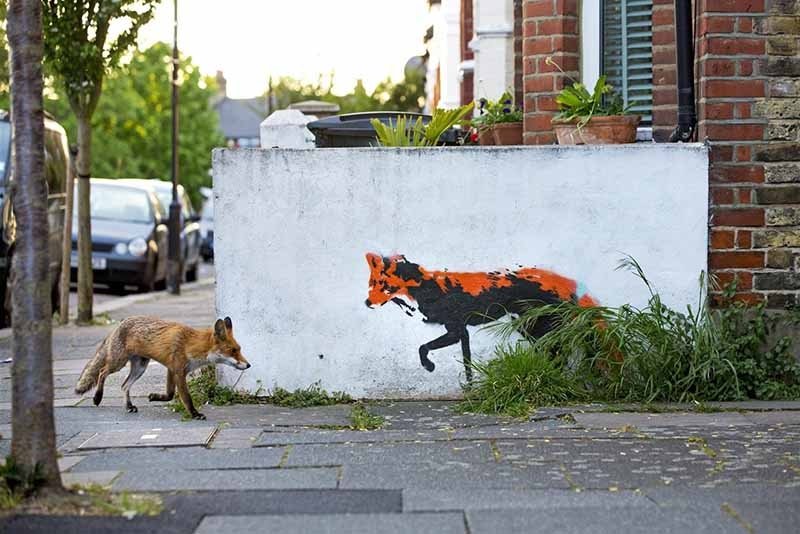 Qui són els invasors?