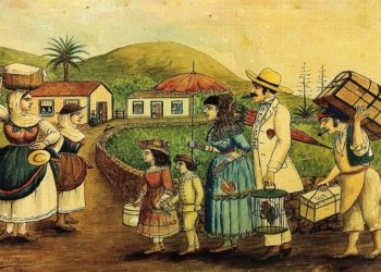 A la recerca de les arrels