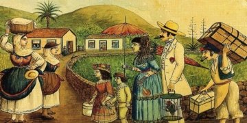 A la recerca de les arrels