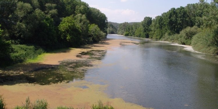 Aigua i emergència climàtica IV
