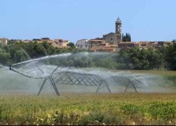 Regadiu i canvi climàtic: una relació insostenible