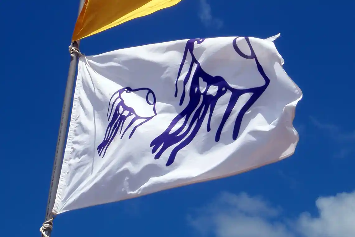 “Tiburón”, o com no gestionar una crisi