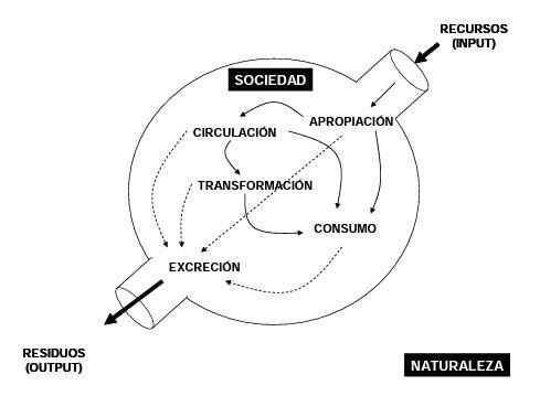 Imatge que conté text, diagrama, cercle, FontDescripció generada automàticament