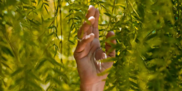 La Sostenibilitat (I) –  La sostenibilitat com a valor