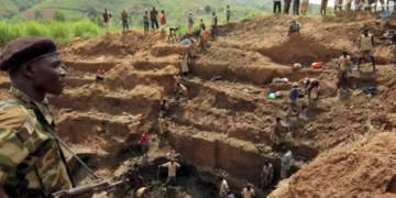 El cor de les tenebres, encara