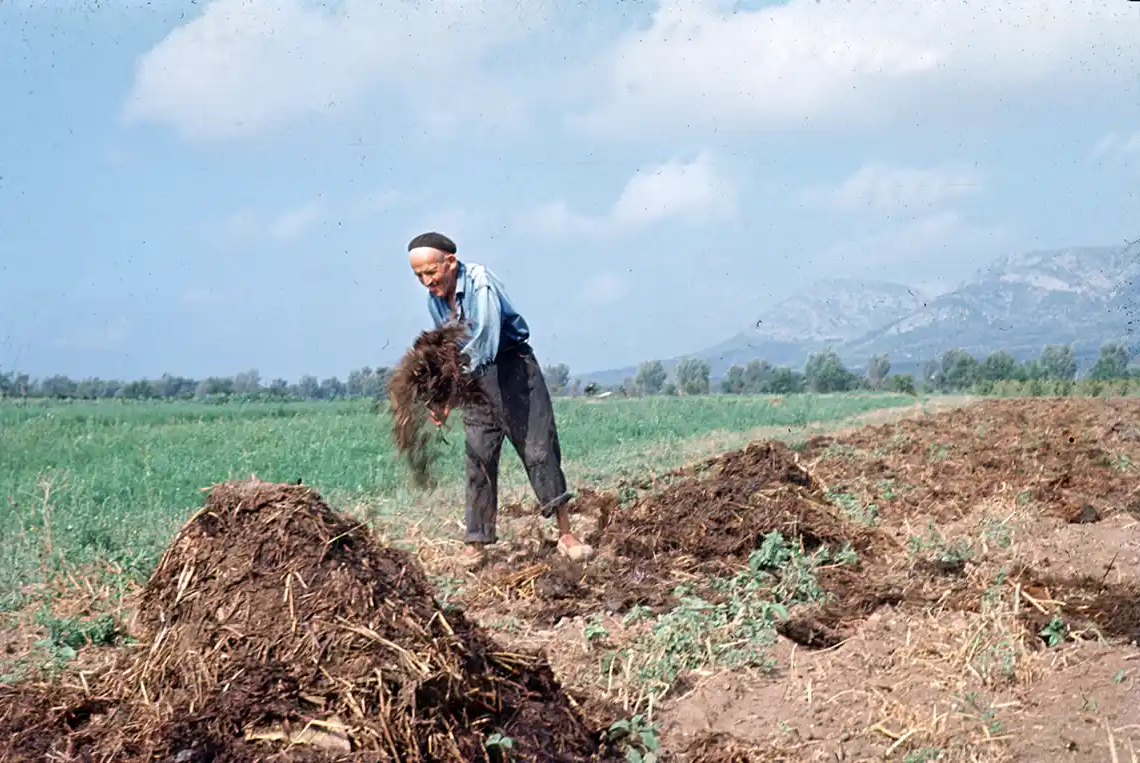Relació de Masos 1947 – l’Estartit