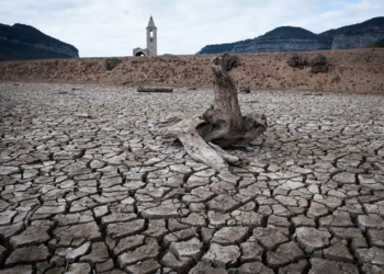 “Sembla mentida”: relats de la sequera I