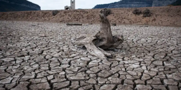 “Sembla mentida”: relats de la sequera I