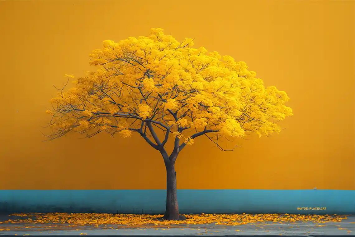 L’Economia de la Innovació. (I)