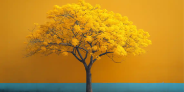 L’Economia de la Innovació. (I)