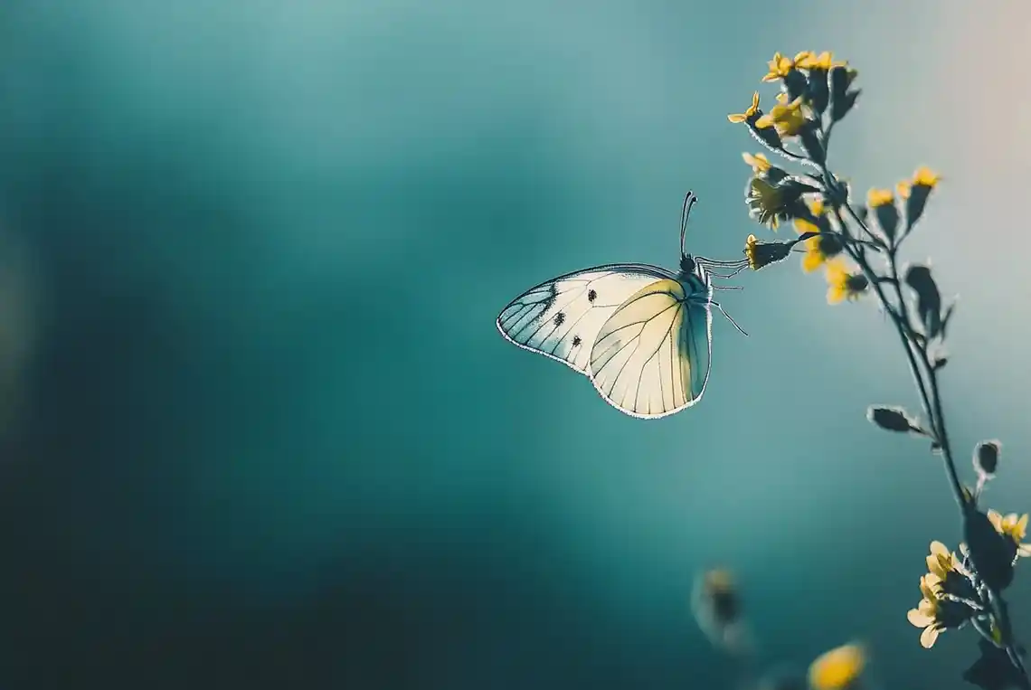 Reflexions Horacianes (II)