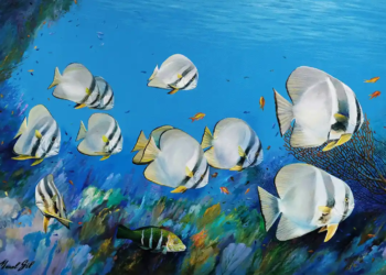 Manel Gil, pintor marí i submarí 