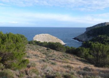 Itineraris amb plantes destacables al PNMMBT (II) l’altiplà del Montgrí