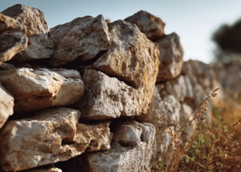 Reflexions Horacianes (VII)