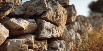 Reflexions Horacianes (VII)