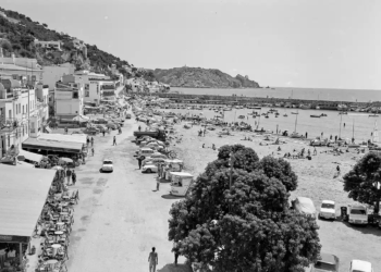 Els oncles de França