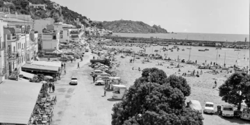 Els oncles de França